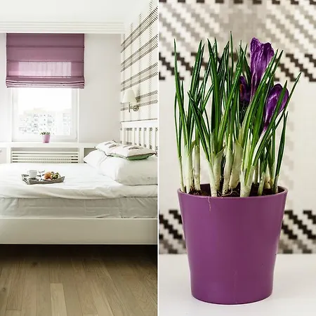 Coco Apartament Apartman Gdańsk
